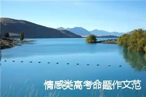 情感类高考命题作文范文：白色翅膀_作文900字_高考命题作文