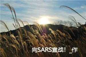 向SARS宣战！_作文900字_小学书信作文
