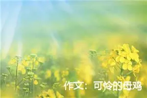 作文：可怜的母鸡