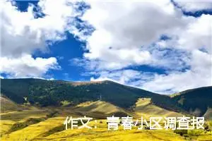 作文：青春小区调查报告