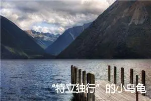 “特立独行”的小乌龟作文300字_小学二年级作文