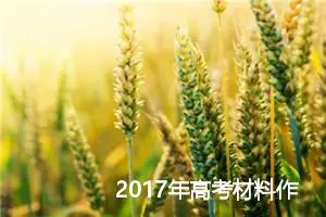 2017年高考材料作文：这么小这么大_作文900字_高考材料作文