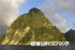窃食记作文700字