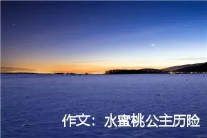 作文：水蜜桃公主历险记（3）