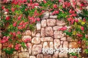 秋韵作文500字