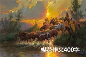 樱花作文400字