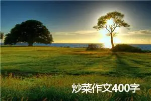 炒菜作文400字