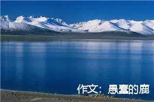 作文：愚蠢的鹿