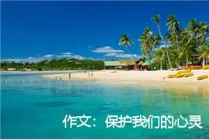 作文：保护我们的心灵之窗——眼睛
