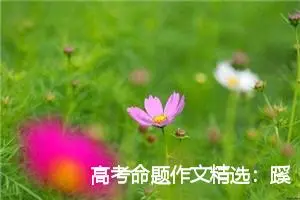 高考命题作文精选：蹊径之上_作文1000字_高考命题作文