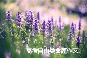 高考自由类命题作文：飞向自由_作文700字_高考命题作文