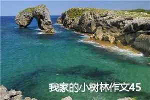 我家的小树林作文450字_小学一年级作文