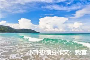 小升初满分作文：我喜欢的美味_作文450字_小升初作文