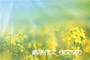 练字作文_作文500字_小学一年级作文