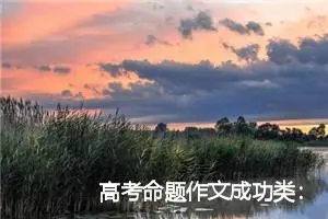 高考命题作文成功类：因为勒痕，我更坚强_作文650字_高考命题作文