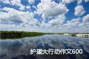 护蛋大行动作文600字_小学三年级作文