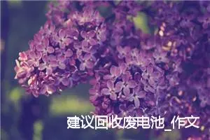 建议回收废电池_作文450字_小学书信作文