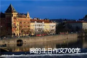 我的生日作文700字