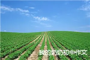 我的奶奶初中作文