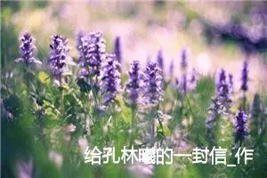给孔林曦的一封信_作文350字_小学写信作文