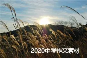 2020中考作文素材大全:读书_作文550字_中考作文指导
