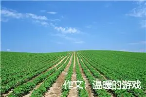 作文：温暖的游戏