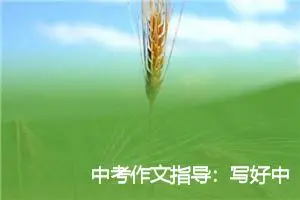 中考作文指导：写好中考作文的技巧_作文200字_中考作文指导