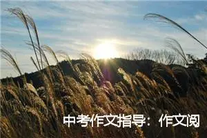 中考作文指导：作文阅卷潜规则_作文1550字_中考作文指导