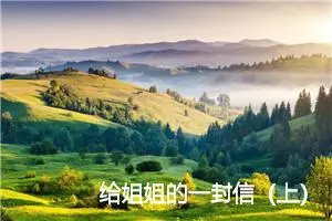 给姐姐的一封信（上）_作文350字_小学写信作文