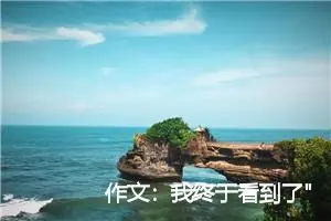 作文：我终于看到了