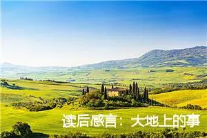 读后感言：大地上的事情读后感900字_初中读后感作文