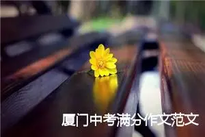 厦门中考满分作文范文：沙茶一碗厦门情_中考满分作文