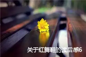 关于红舞鞋的读后感600字_小学生读后感