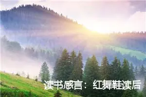 读书感言：红舞鞋读后感900字_小学生读后感