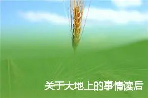 关于大地上的事情读后感800字_初中读后感作文