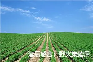 读后感言：野火集读后感900字_初中读后感作文