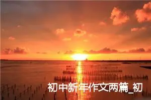 初中新年作文两篇_初中节日作文