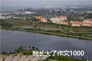 我长大了作文1000字_初二作文