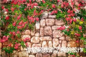你轻轻拨动了我的弦作文_作文3000字_初三作文