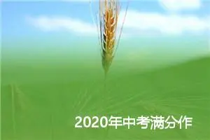 2020年中考满分作文600字：幽幽_中考满分作文