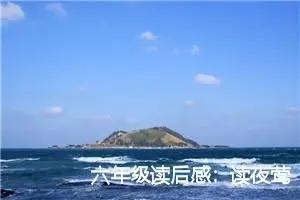 六年级读后感：读夜莺后的心得_作文1000字_小学生读后感