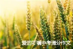 爱的叮嘱中考满分作文赏析600字_中考作文