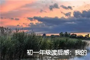 初一年级读后感：我的精神家园读后感言_作文1000字_初中读后感作文