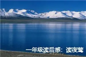 一年级读后感：读夜莺有感_作文600字_小学生读后感