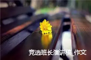 竞选班长演讲稿_作文450字_小学写信作文