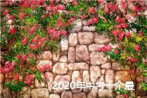 2020年中考十个最容易失分的地方_作文1050字_中考作文指导