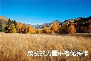 成长的力量中考优秀作文600字_中考作文