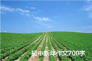 初中新年作文700字两篇_初中节日作文