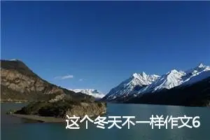 这个冬天不一样作文600字_初二作文