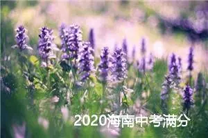 2020海南中考满分作文：智慧手环_中考满分作文